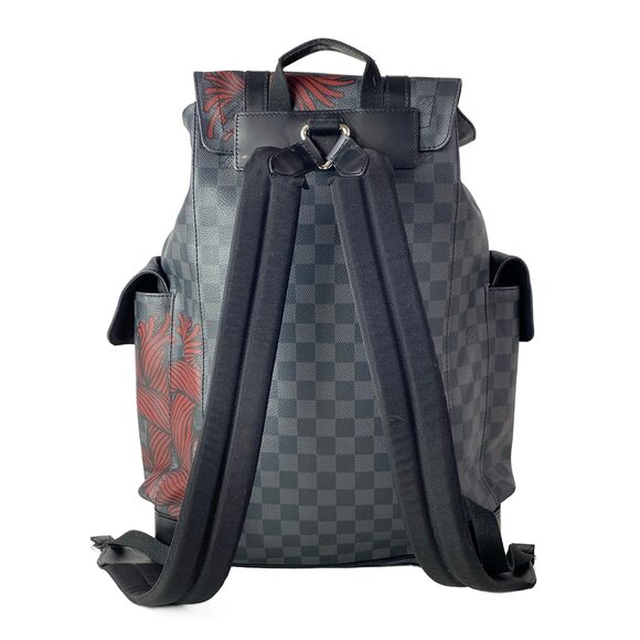 Louis Vuitton Christopher PM Damier Backpack N41709 main image 15